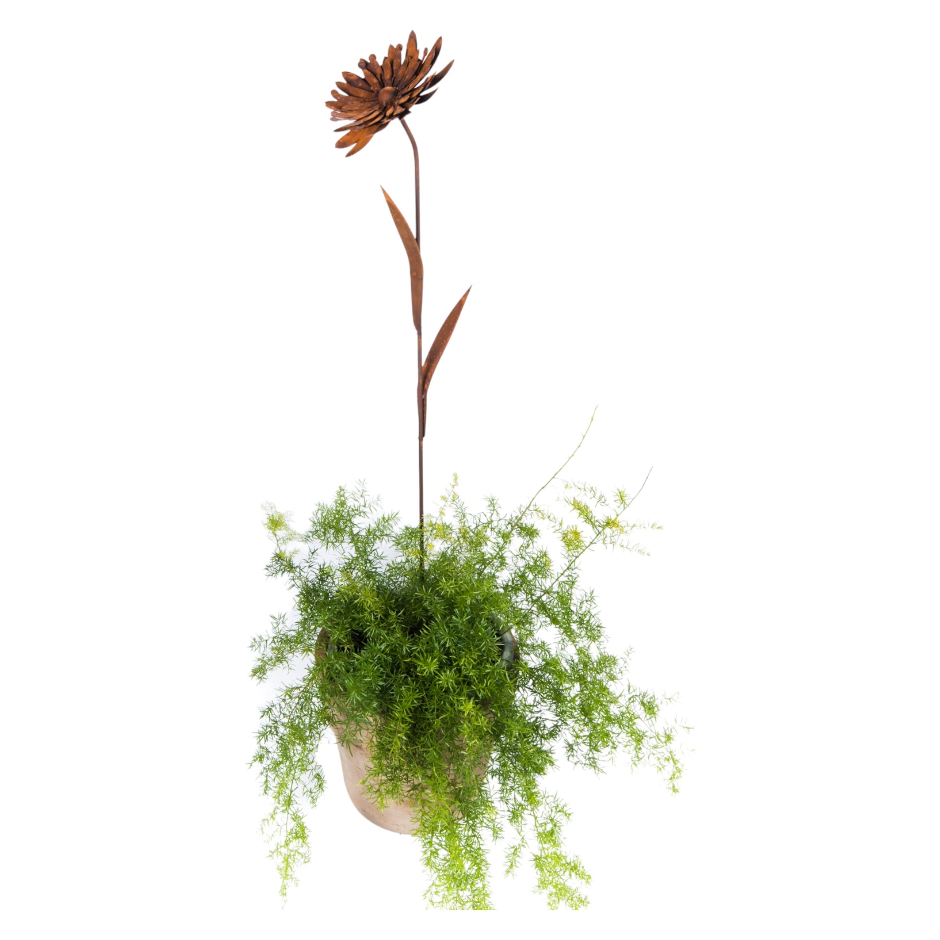 Darstellung von Blume mit 2 Blätter 130 cm