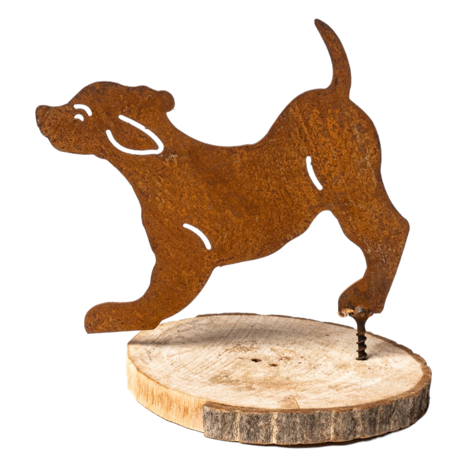 Darstellung von Hund mit Dorn spielend