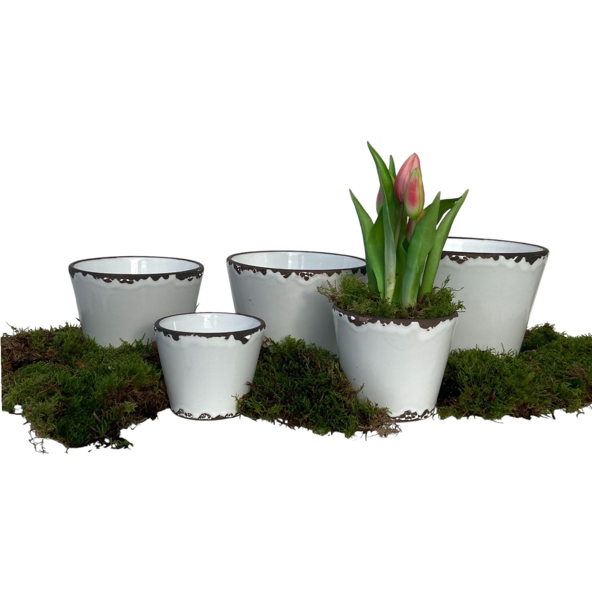 Darstellung von RP Topf Flora WEISS 12x10cm