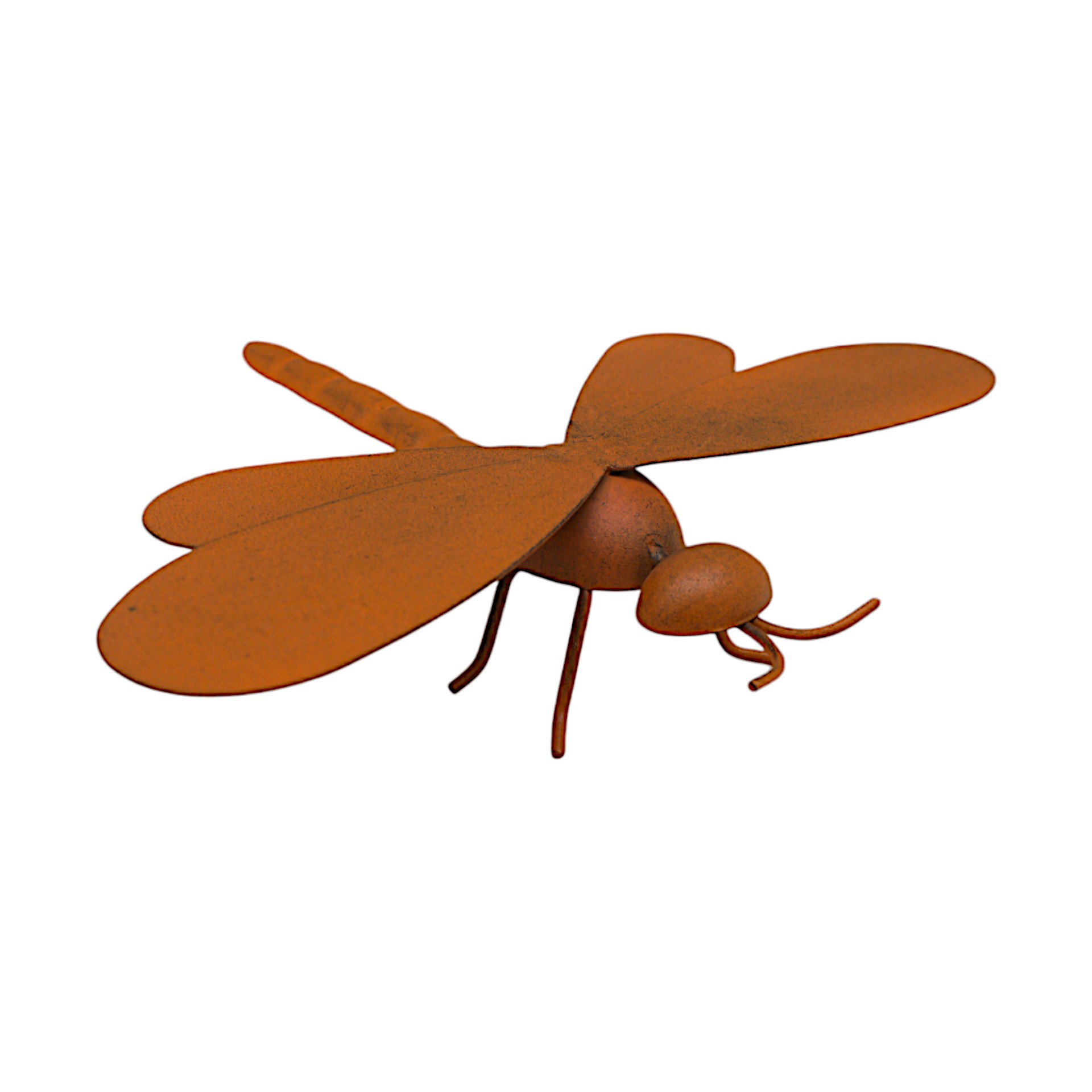 Darstellung von Libelle rost z. Stellen