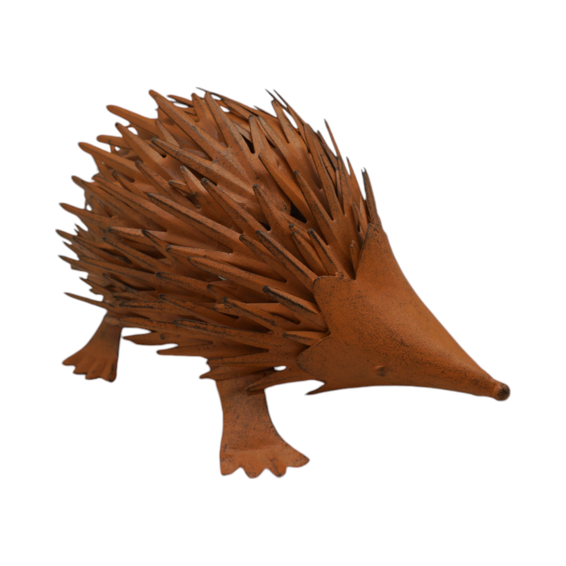 Darstellung von Igel spitz rost