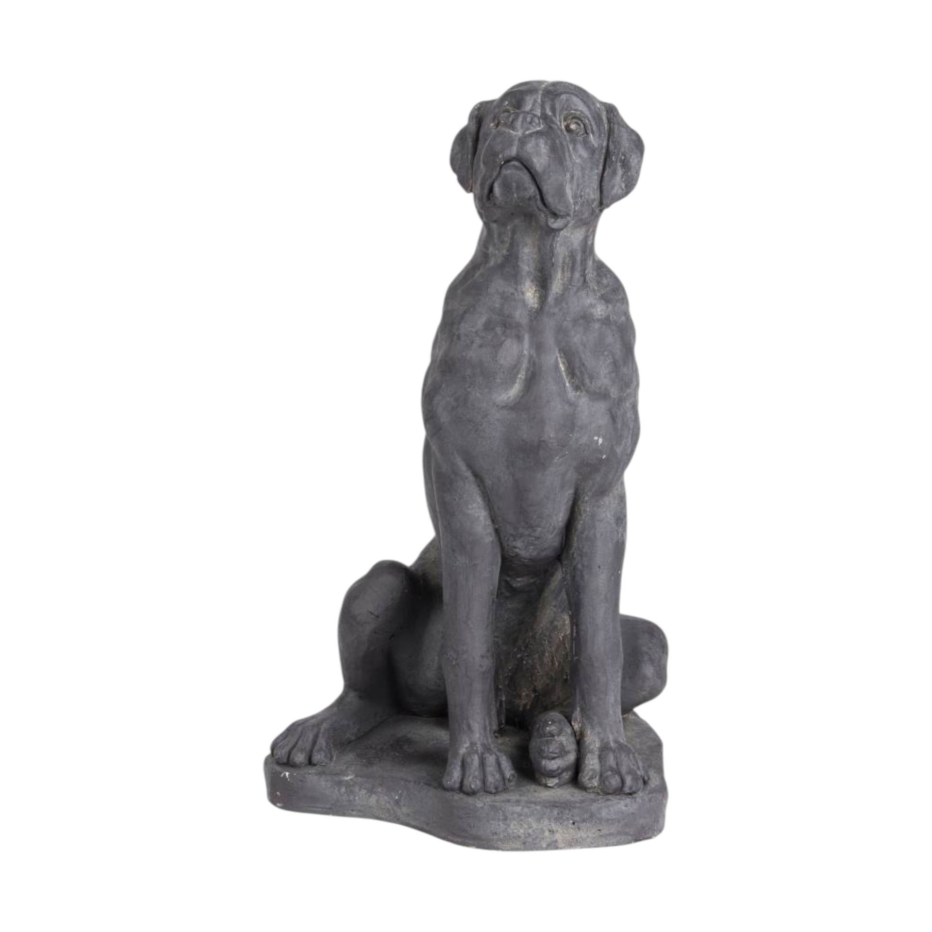 Darstellung von RP Boxer puppy sitzend dunkelgrau 60,5 cm