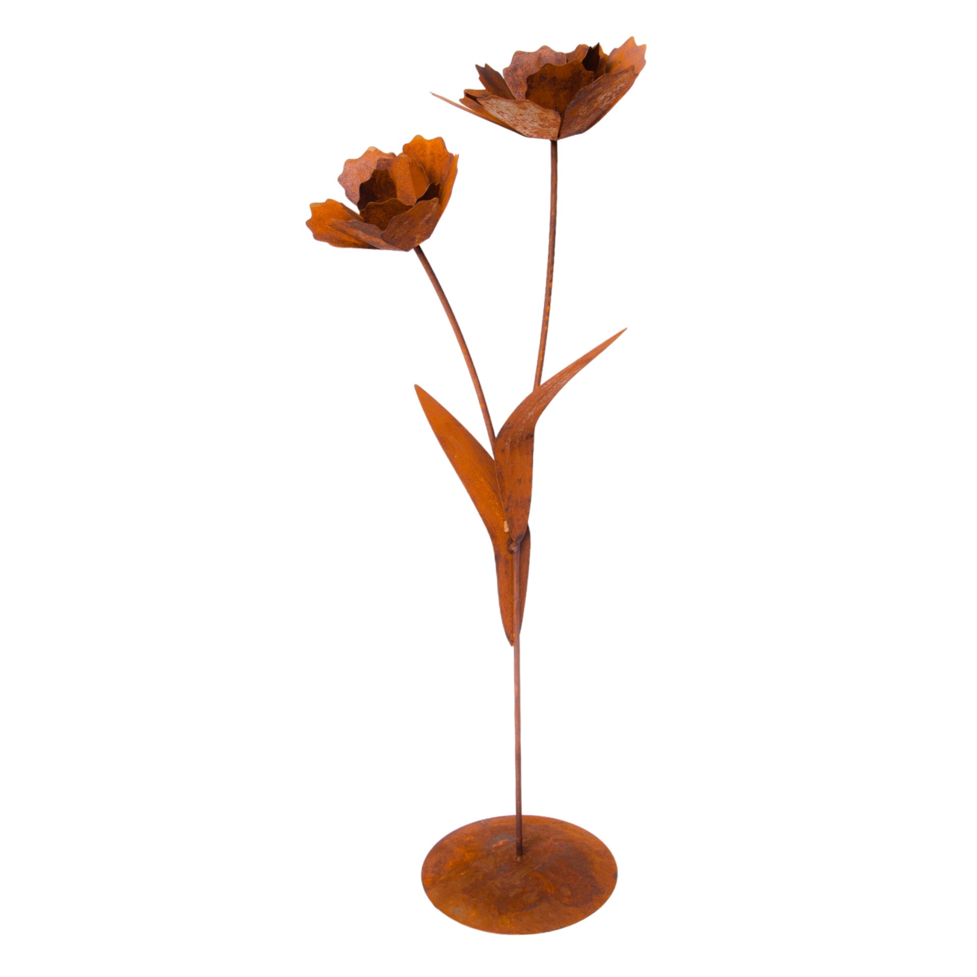 Darstellung von doppelte Rose auf Platte