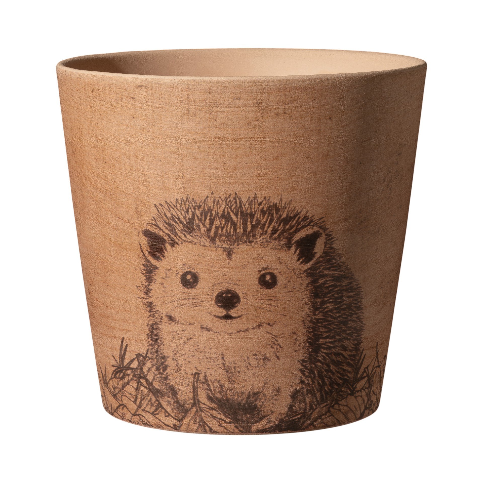 Darstellung von ÜT Dallas 14 Waldfreunde Igel