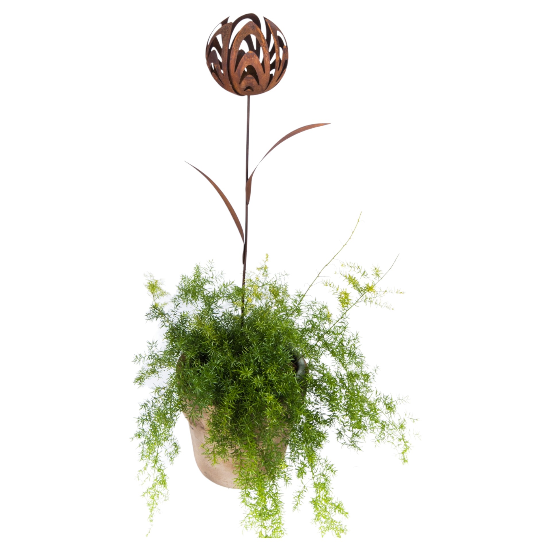 Darstellung von Tulpe 1 Blüte klein z. Stecken 2 Blätter