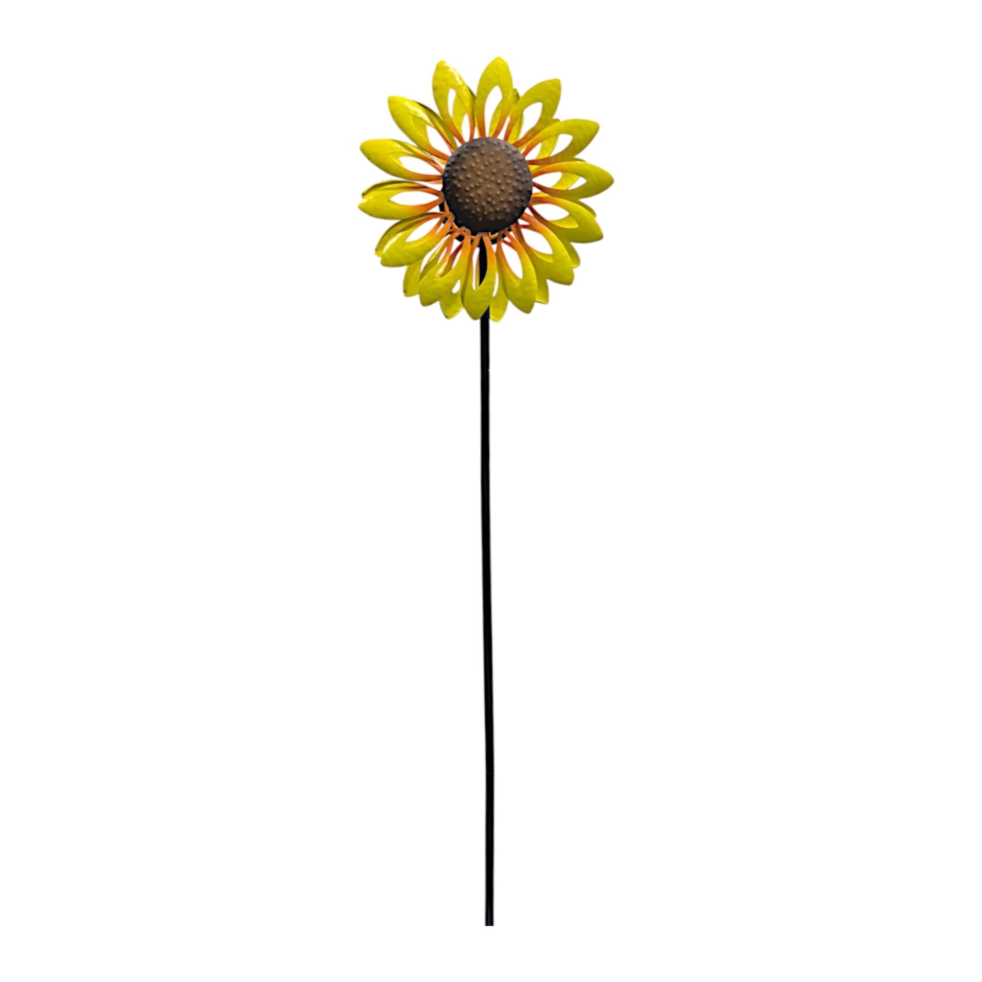 Darstellung von Duopropeller Sonnenblume mittel