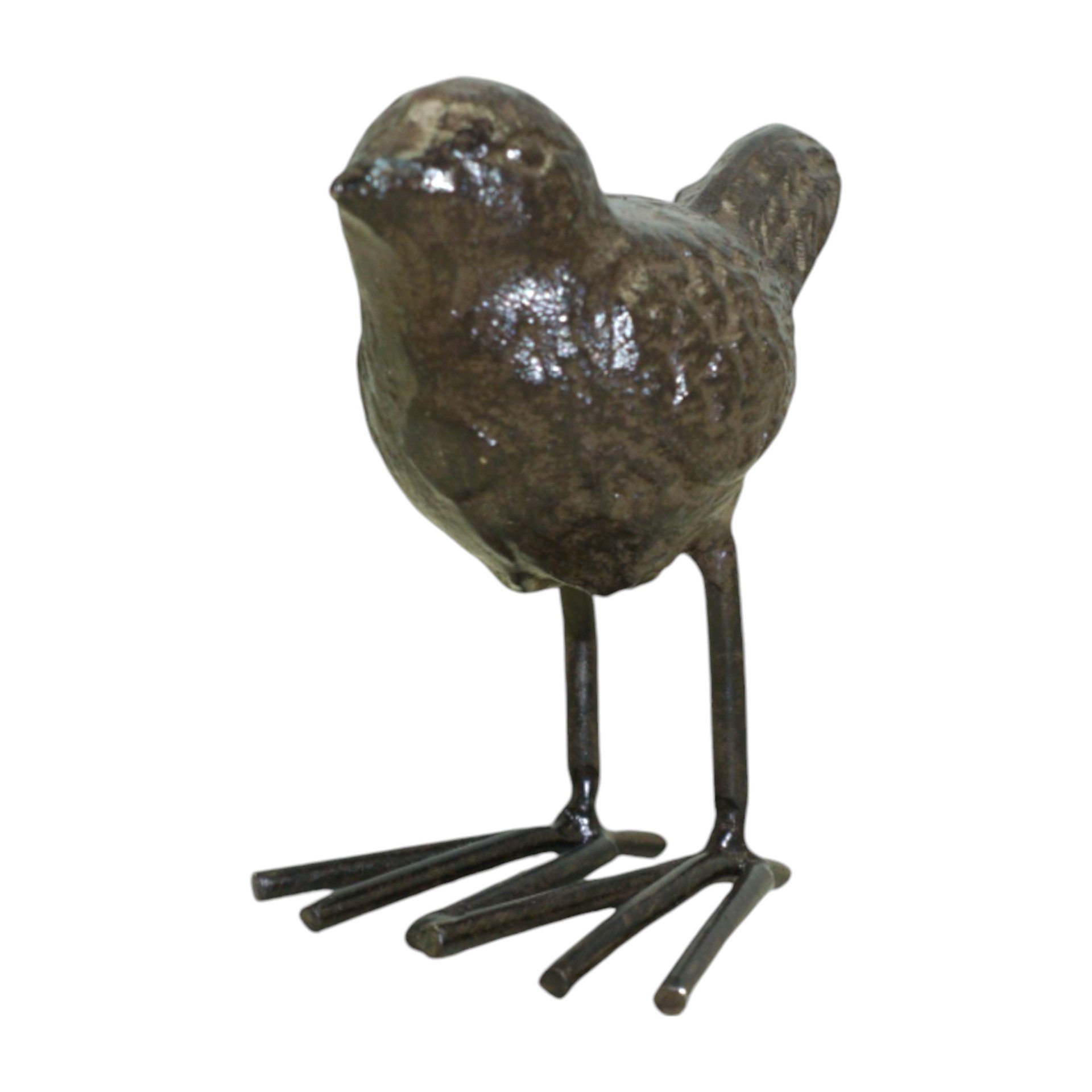 Darstellung von Vogel klein auf Fuss