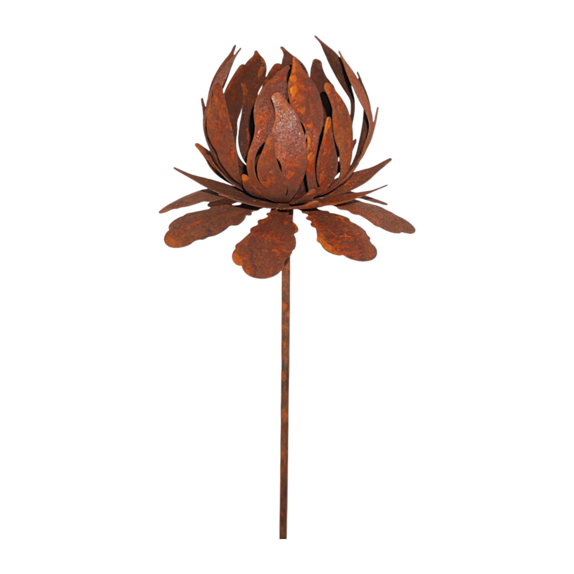 Darstellung von geschlossene Blume a. Stab