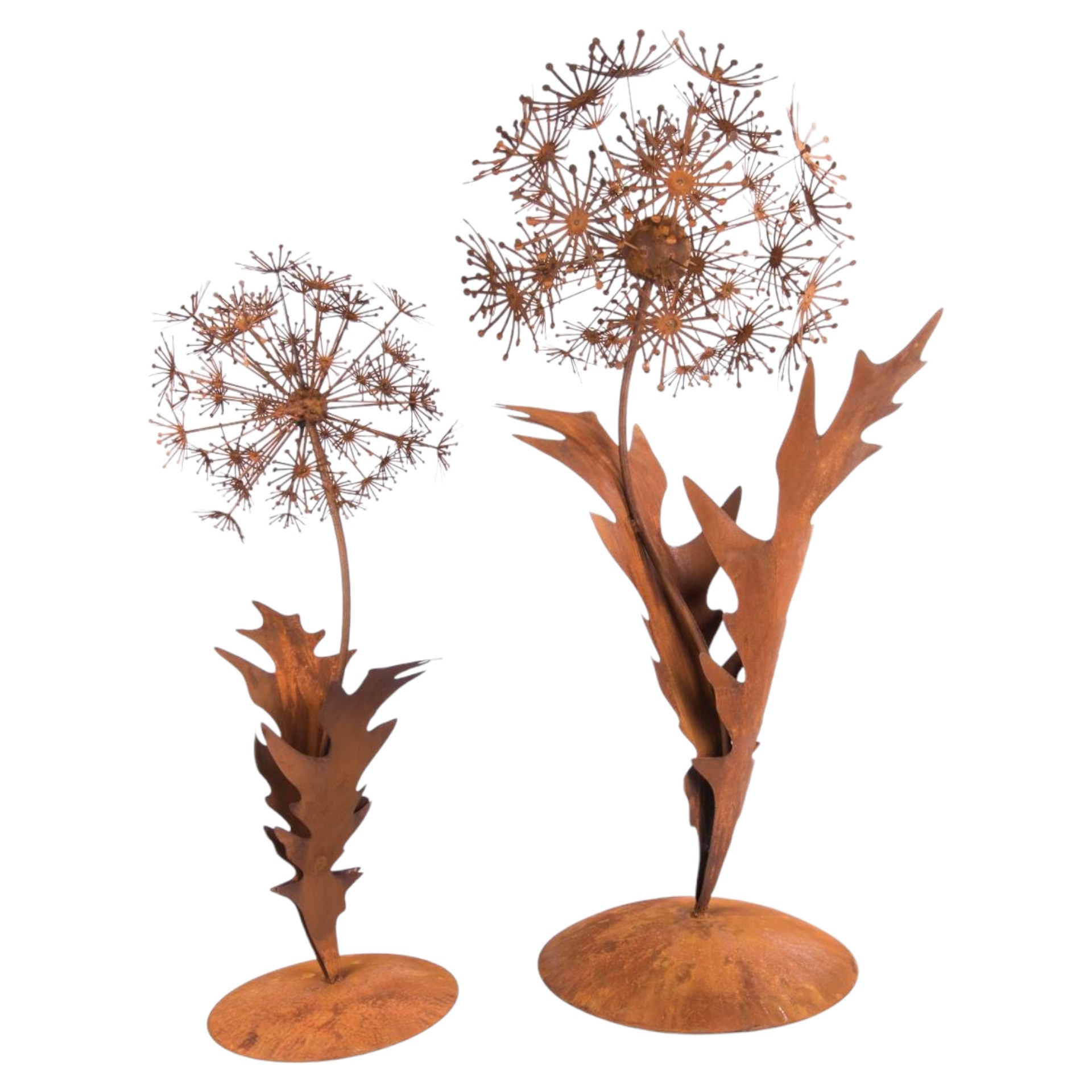 Darstellung von Löwenzahn klein auf Platte mit 2 Blätter ROST