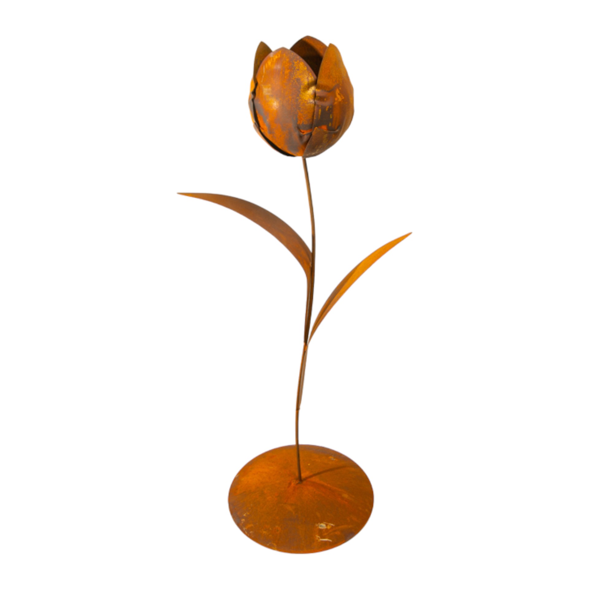 Darstellung von volle Tulpe auf Platte mit 2 Blätter