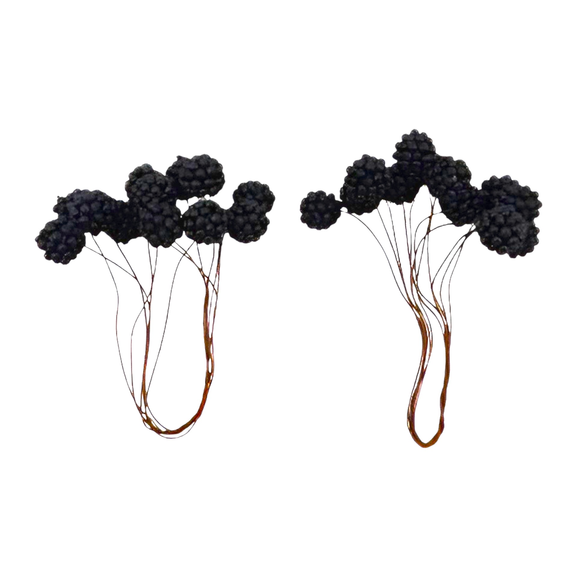 Darstellung von RP Beerenbox 72tlg. schwarze Beeren