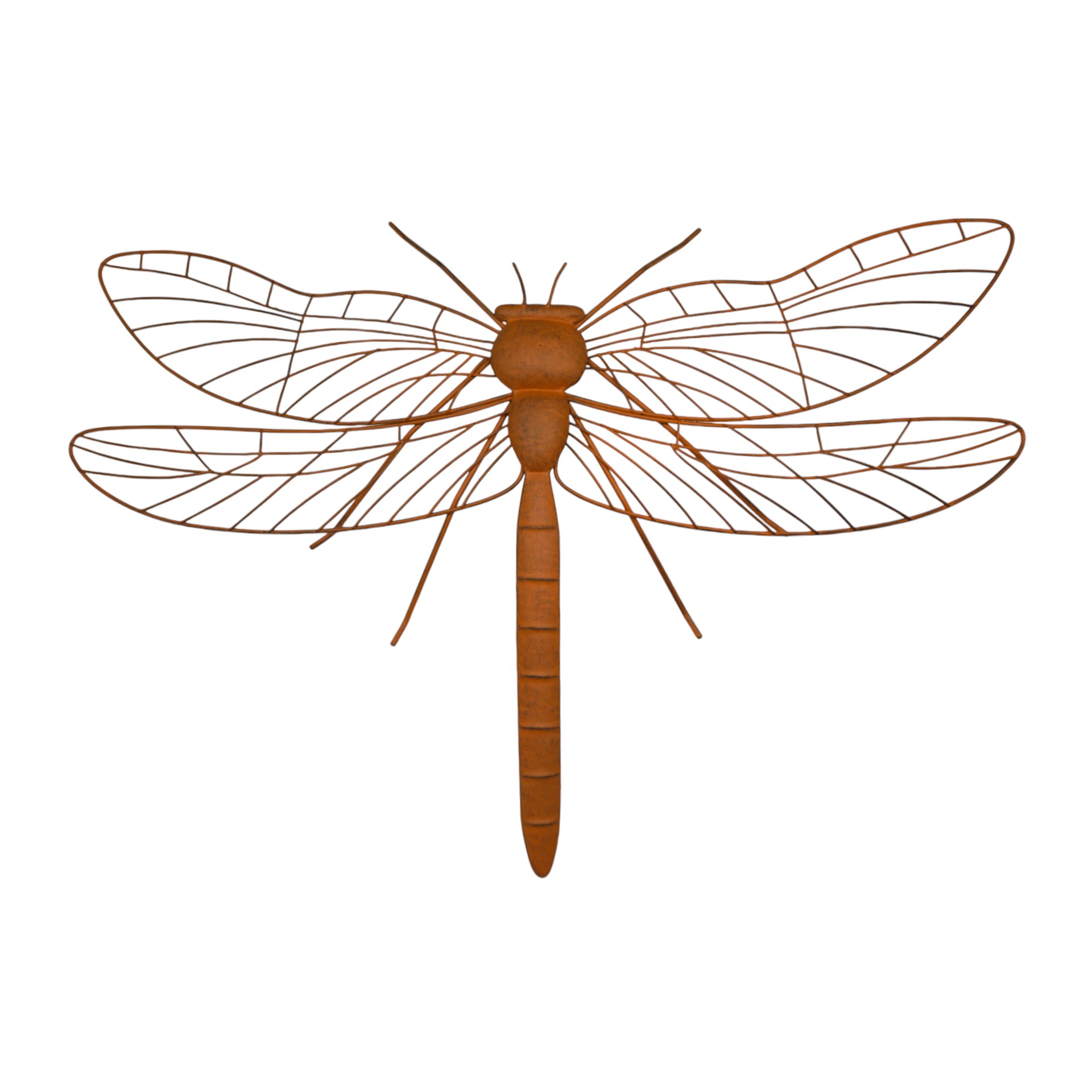 Darstellung von Libelle rost z. Hängen