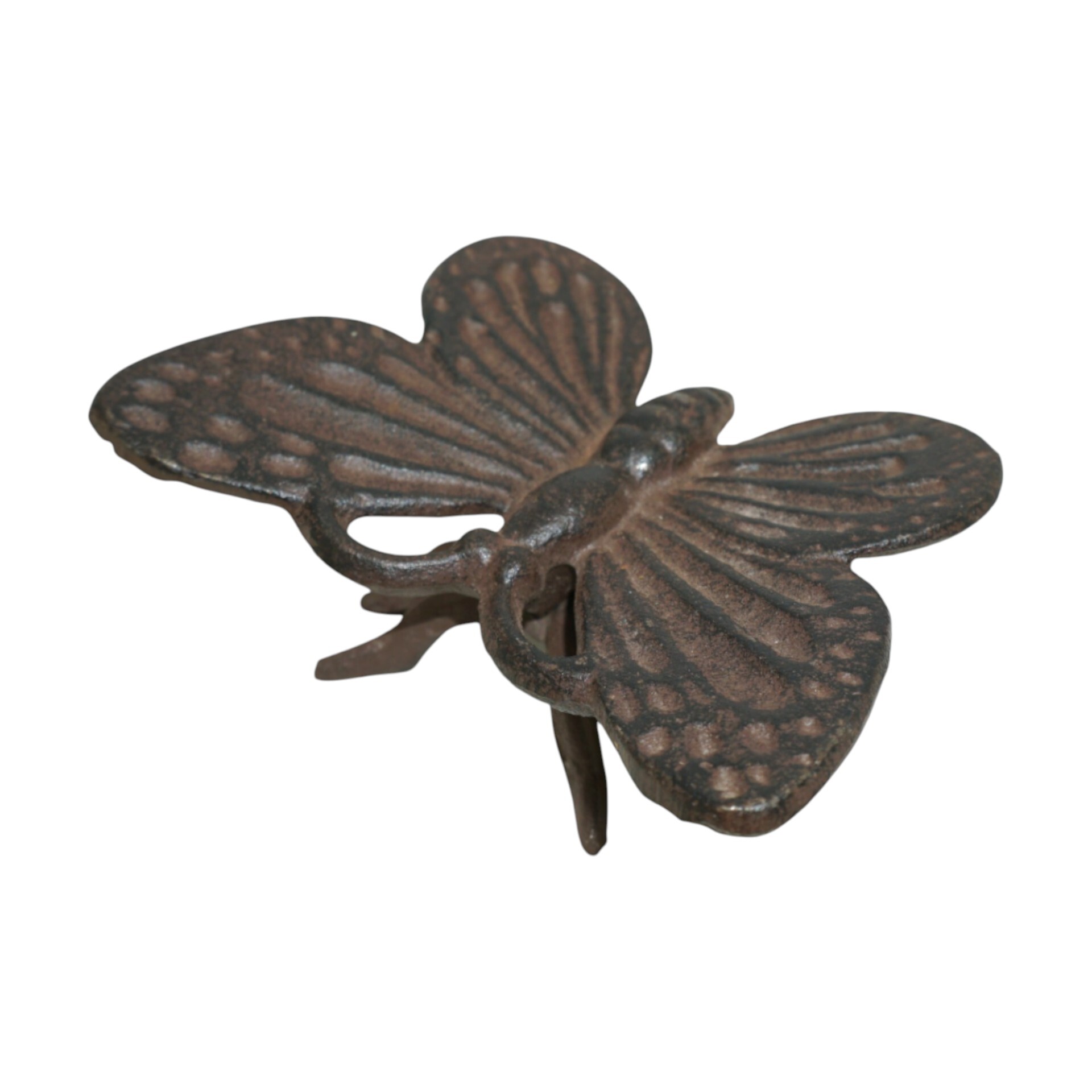 Darstellung von Schmetterling klein zum Stellen