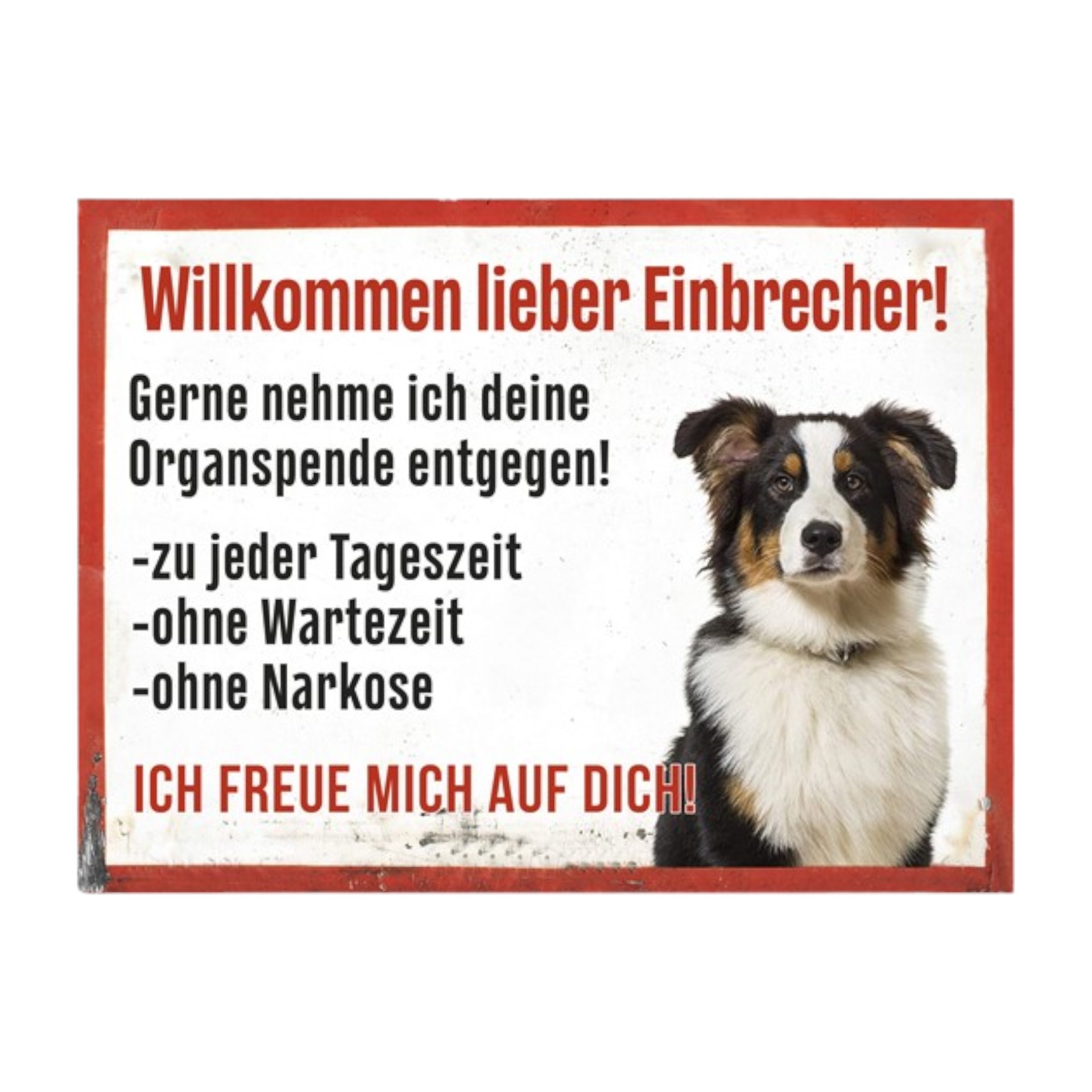 Darstellung von RP UV Schild Willkommen lieber Einbrecher!...