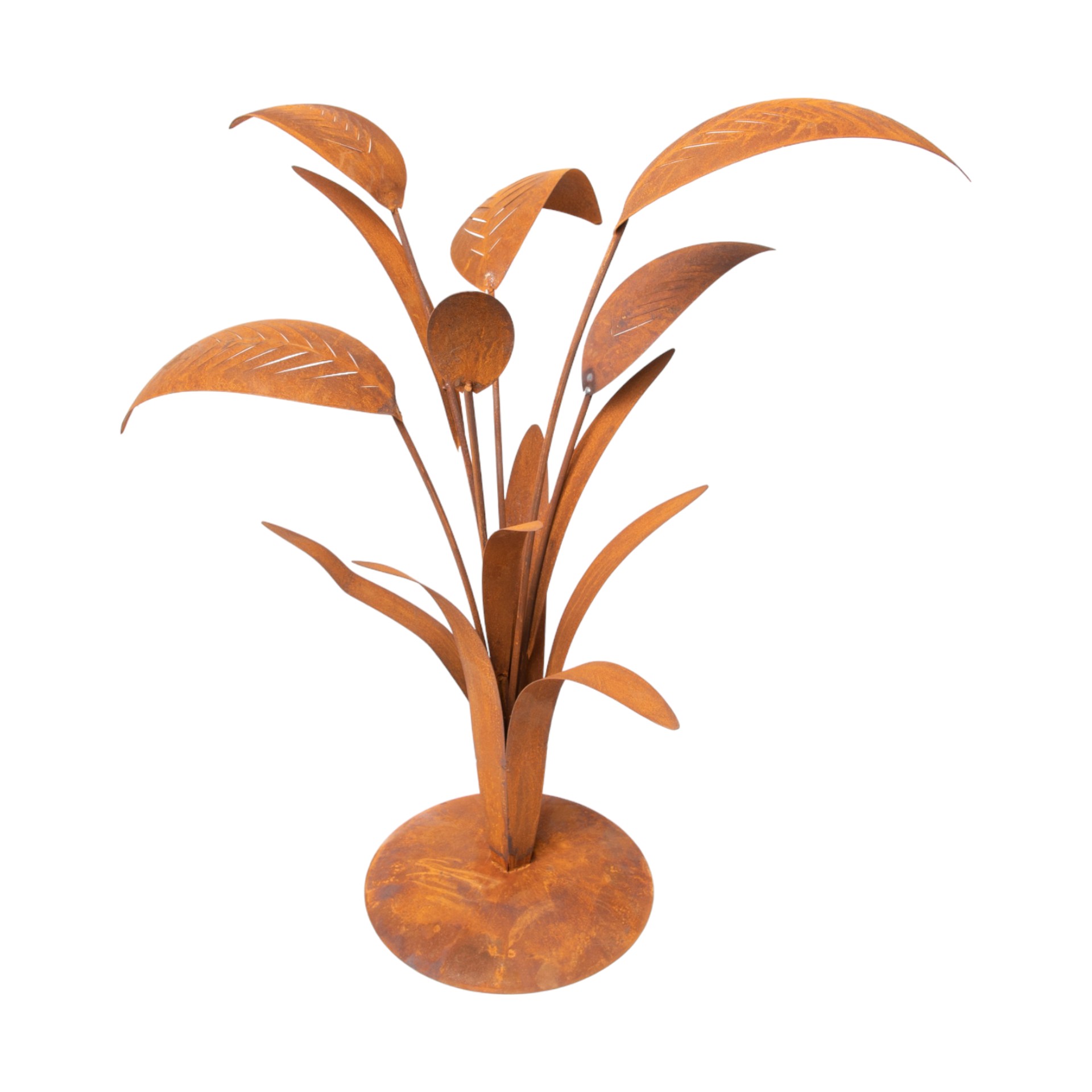 Darstellung von Blätterbündel gross auf Platte