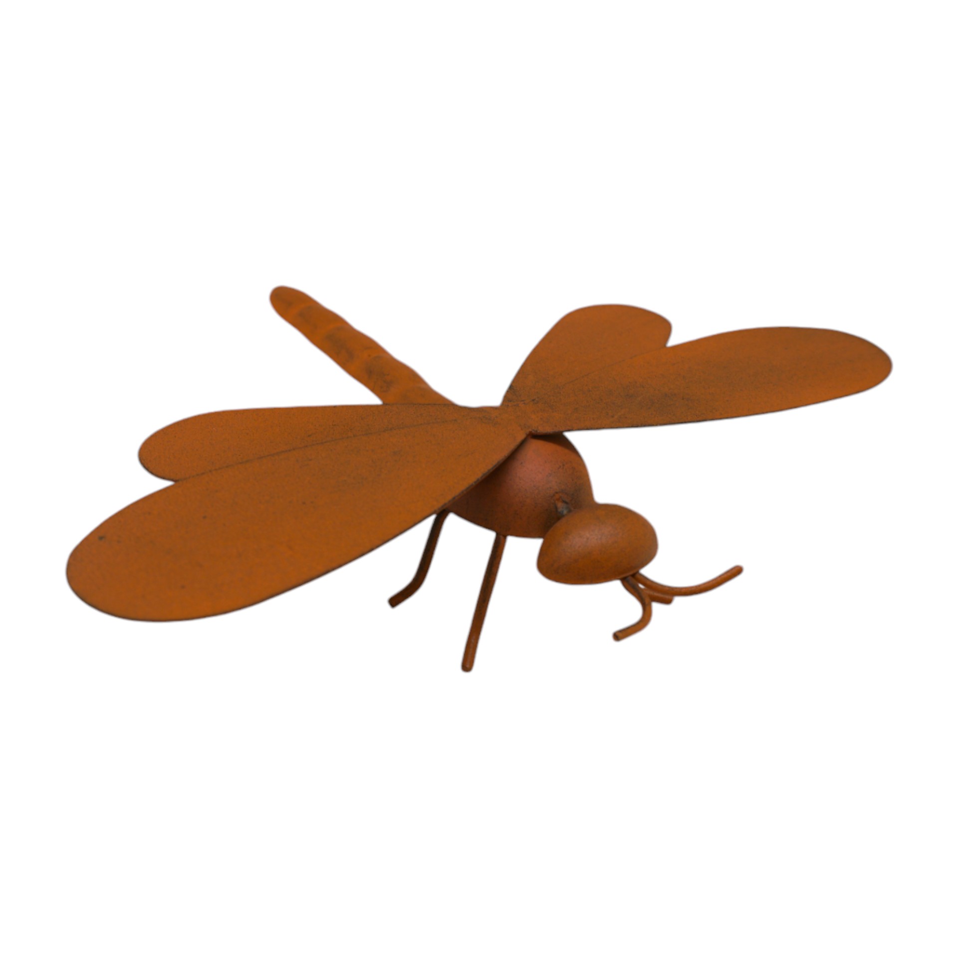 Darstellung von Libelle rost z. Stellen