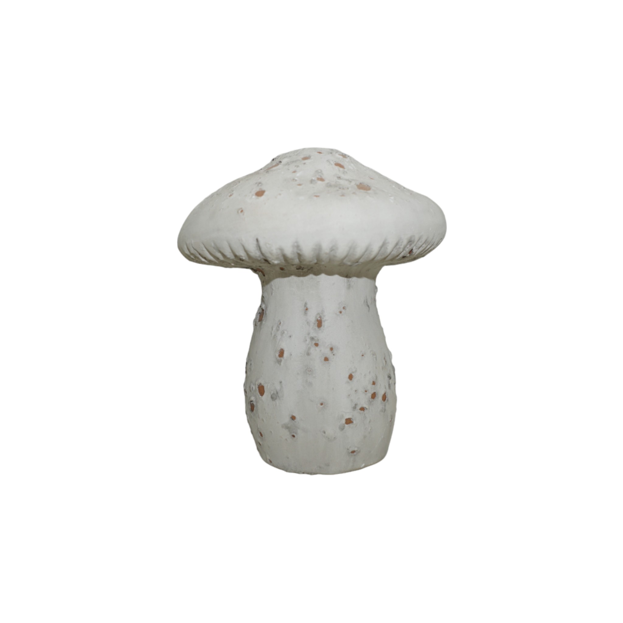 Darstellung von Steinpilz klein