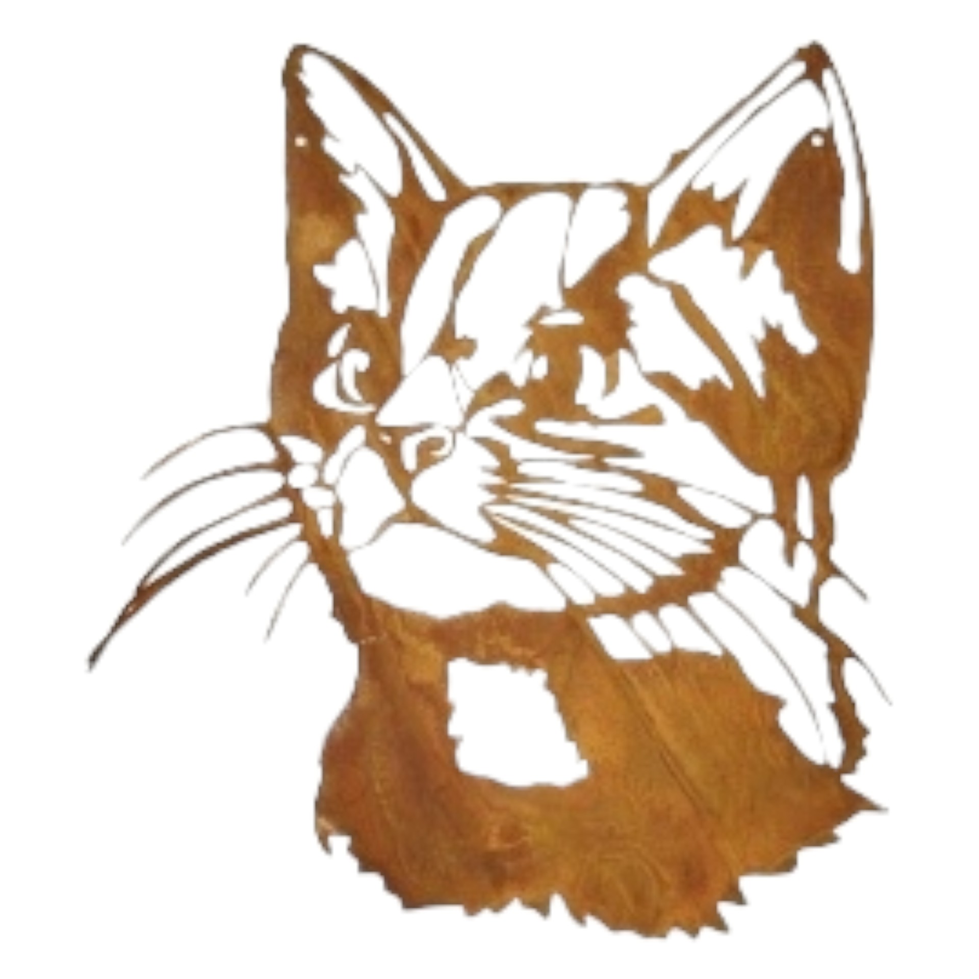 Darstellung von Katzenkopf gross zum Hängen