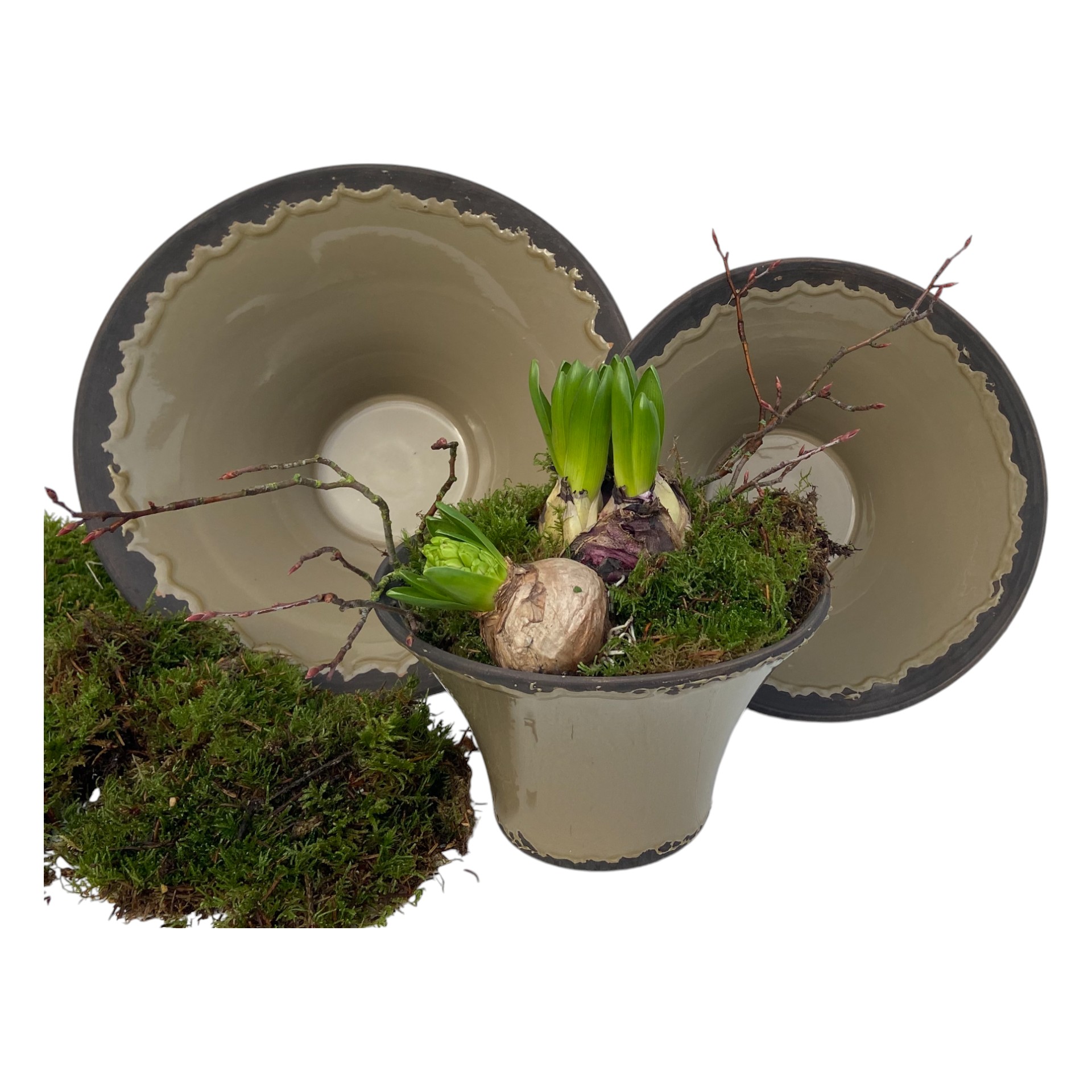 Darstellung von RP Schale OLIVE 32x16 cm