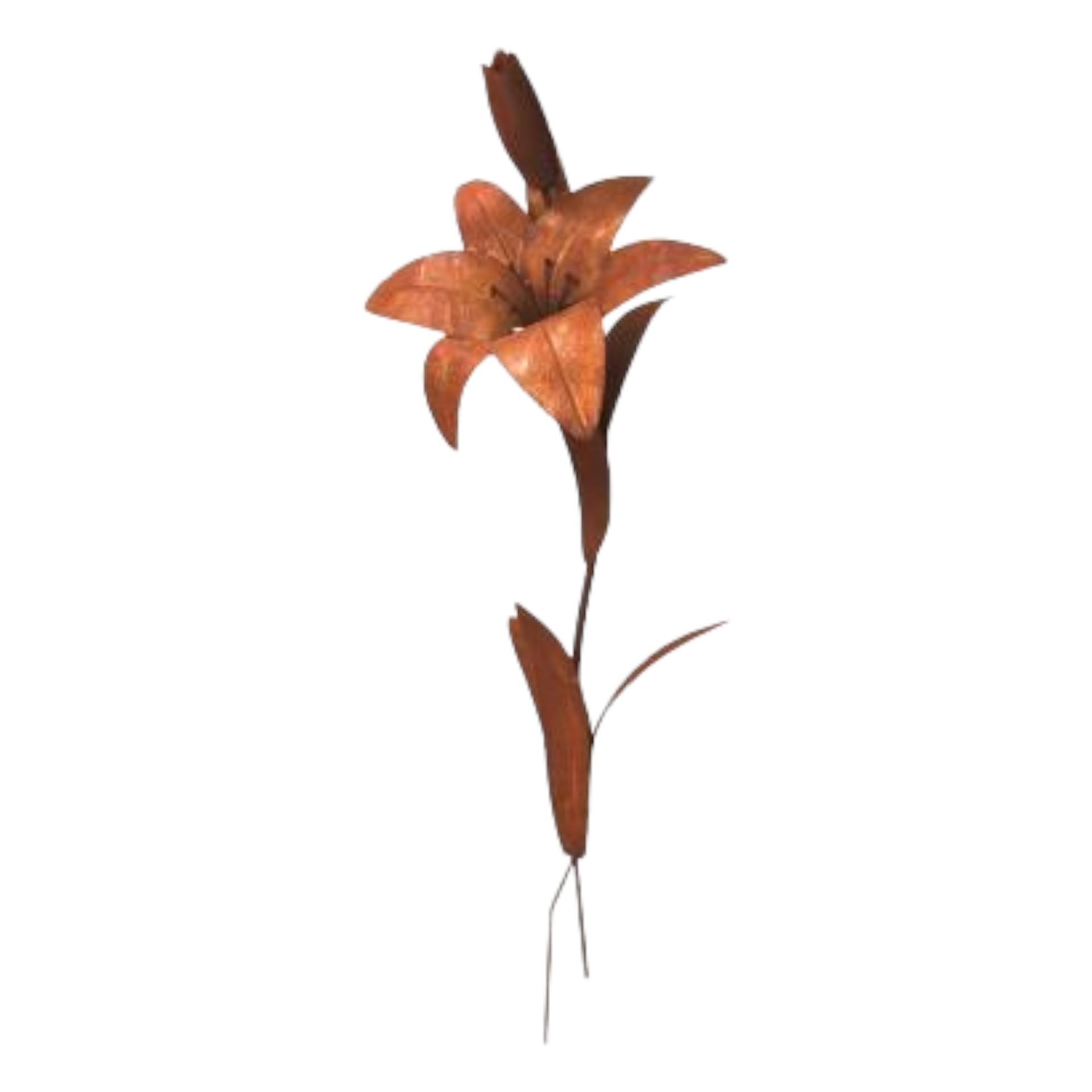 Darstellung von offene Blume z. Stecken mit geschlossener Knospe klein