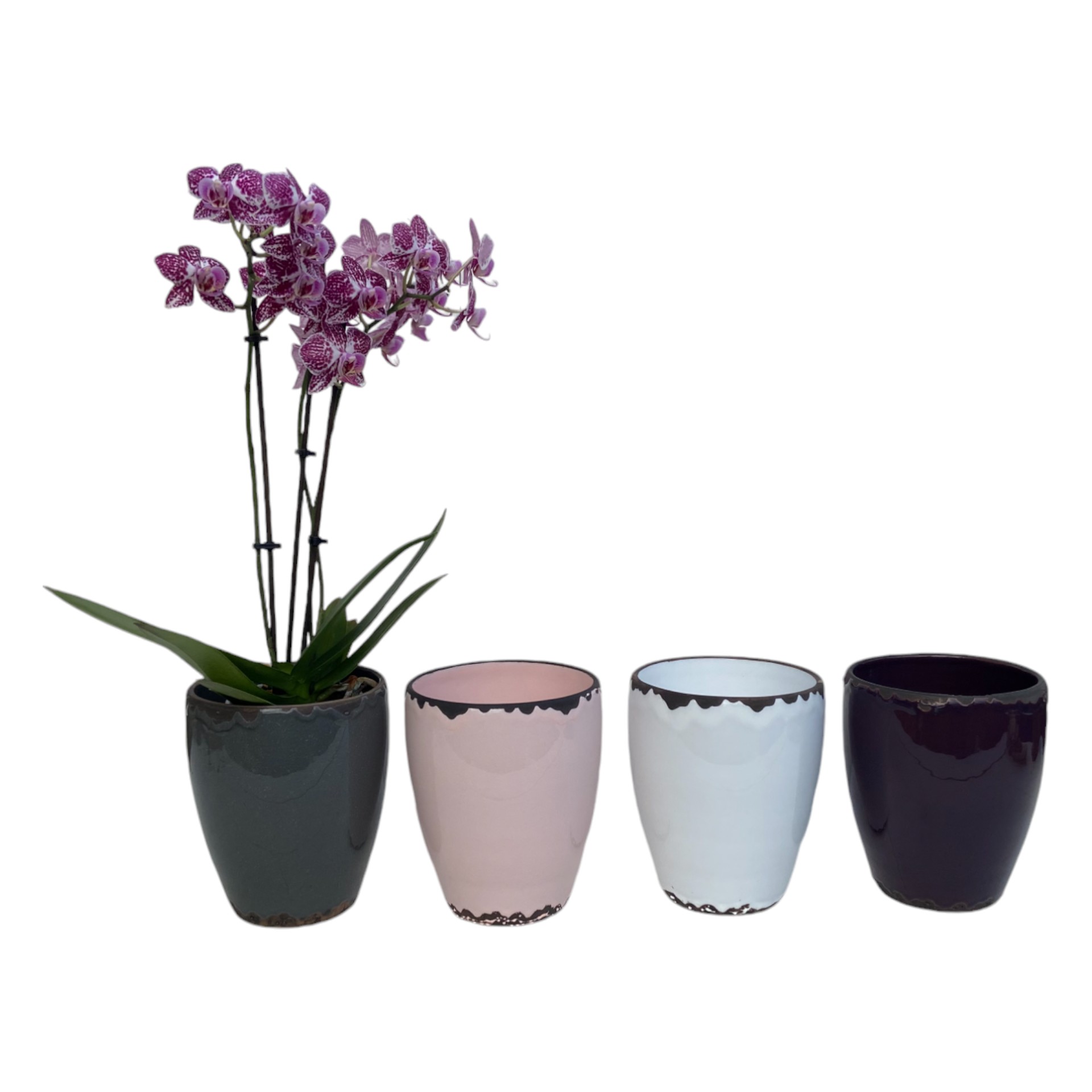 Darstellung von RP Orchideentopf WEISS 13x16 cm