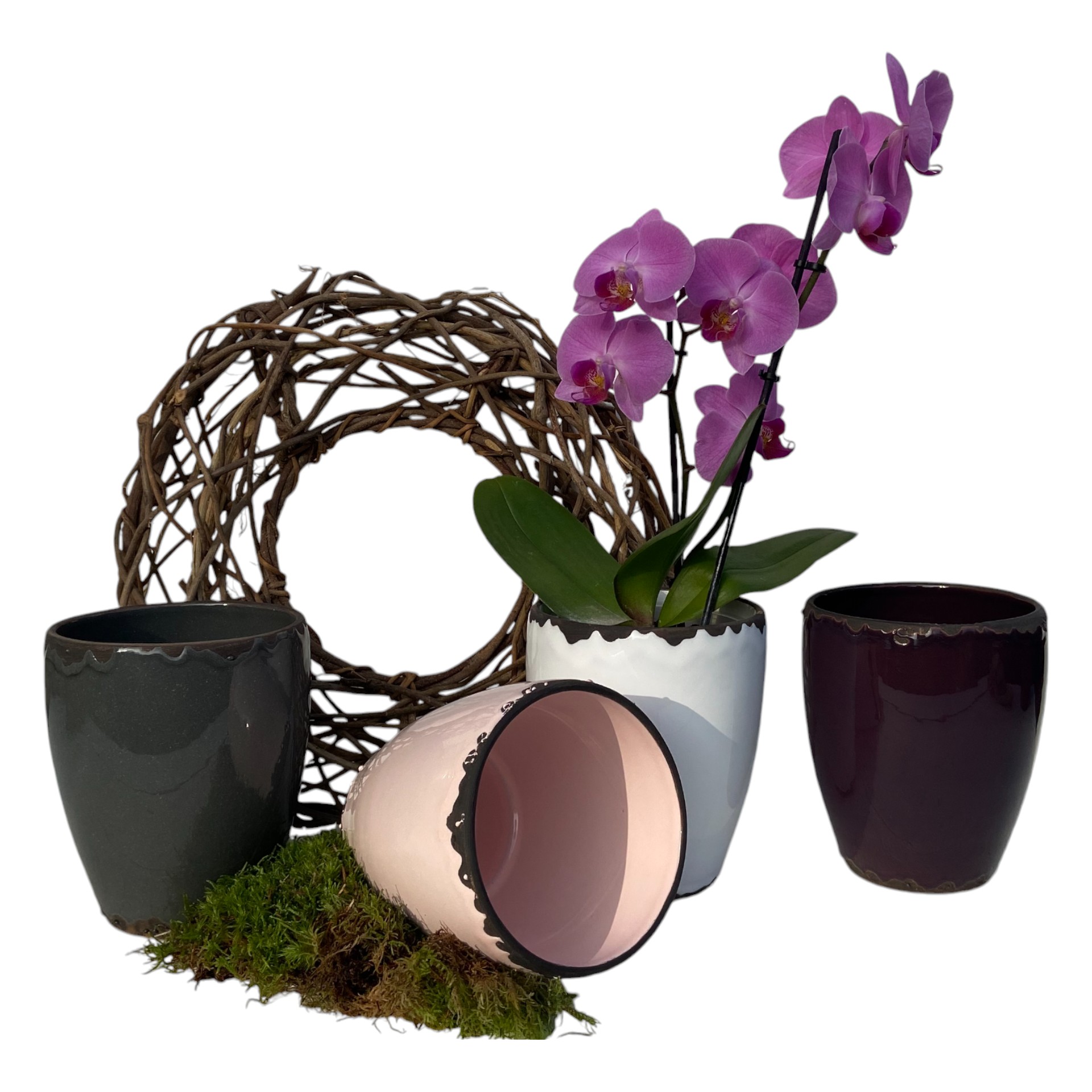 Darstellung von RP Orchideentopf ROSA 13x16 cm