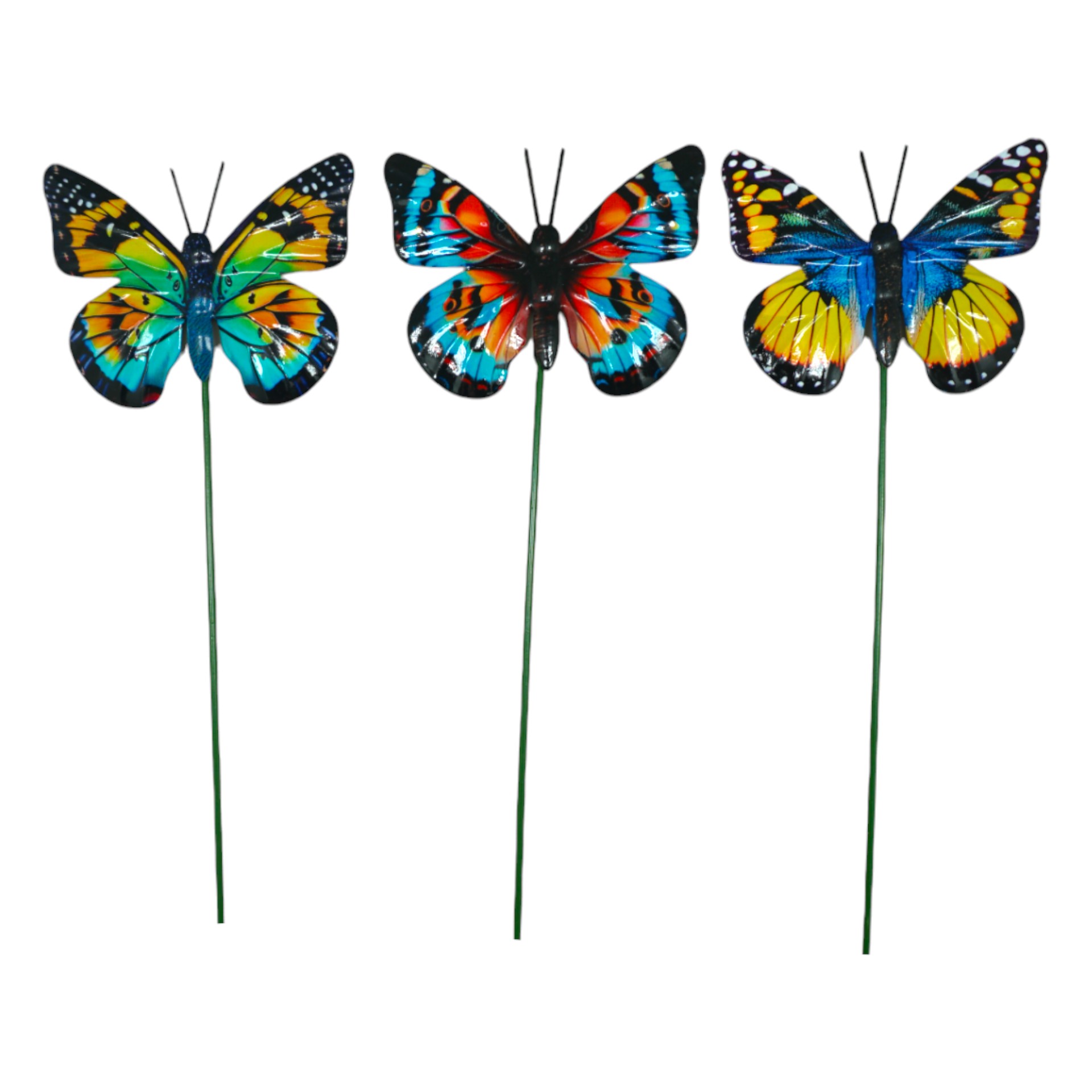 Darstellung von Schmetterlingstecker gross sortiert