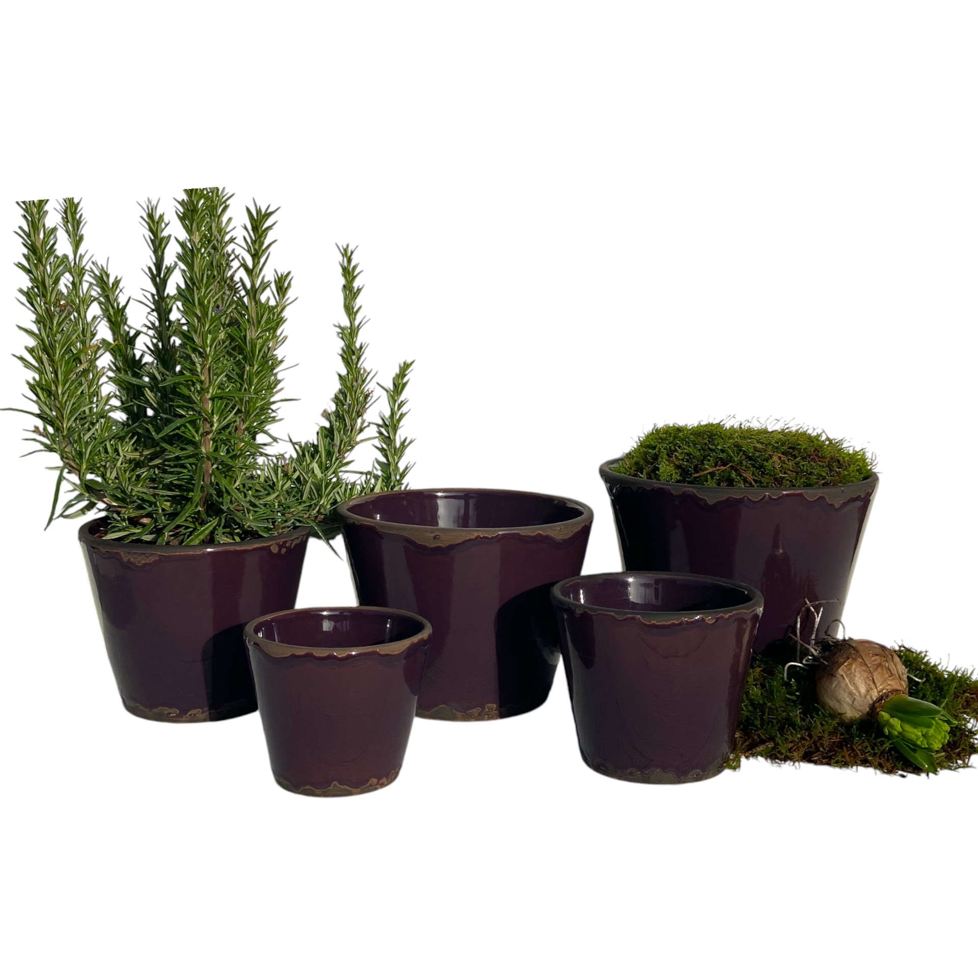 Darstellung von RP Topf Flora AUBERGINE 10x8,5 cm