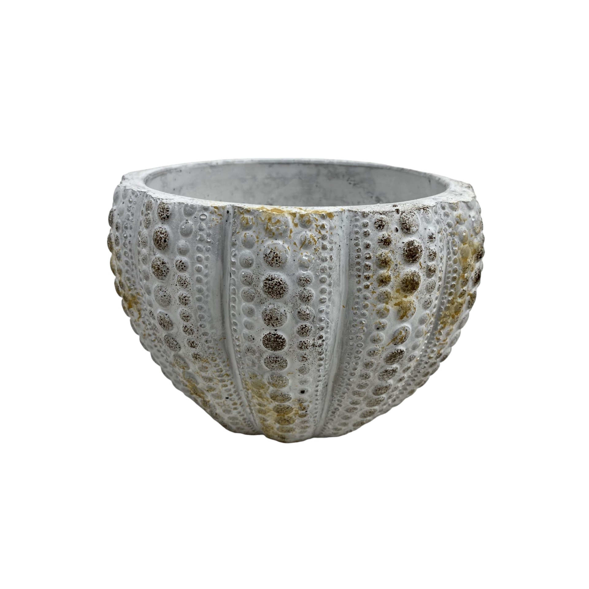 Darstellung von RP Noppentopf creme mini